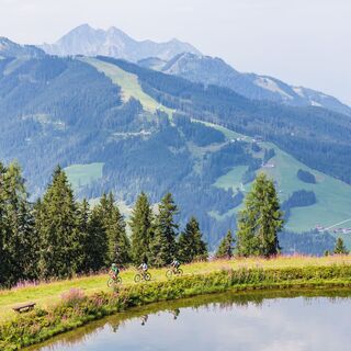 MTB Daarmoossee