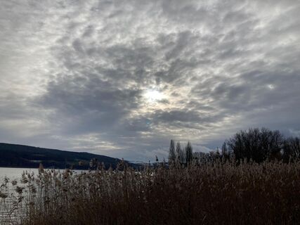 Stimmung am Untersee