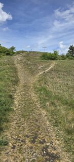 Photo de Gerhard Weghofer le long du parcours