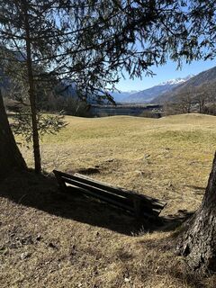 Fotografija s spletne strani Toni Feistritzer na poti