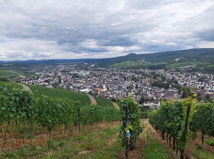 Foto von Dieter Dederichs entlang der Tour