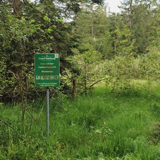 Landschaftsschutzgebiet Wasenmoos