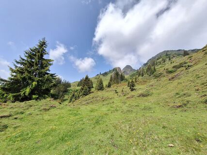 Foto da Hermann E. lungo il tour