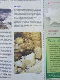 Photo de wanderelke le long du parcours