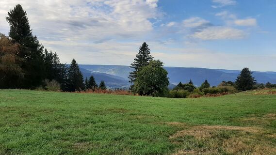 Fotografia z Danny Verdonck na trase