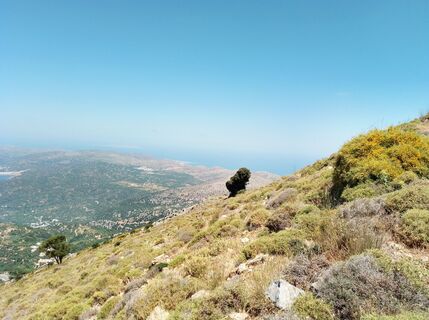 Photo de MopsBiene le long du parcours