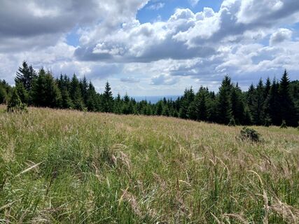 Foto von Andreas Cap entlang der Tour