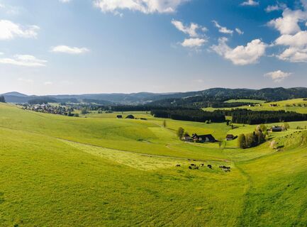 Panorama bei Breitnau