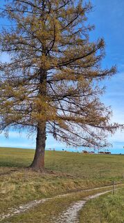 Fotografia z Aga M na trase