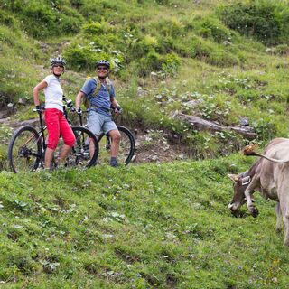 Mit dem Mountainbike zur Alpe Melköde