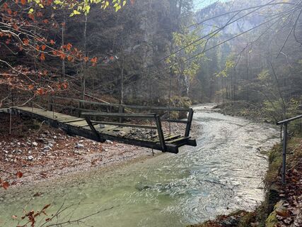 Foto van Firma Pool1 Hackl Roman langs de tour