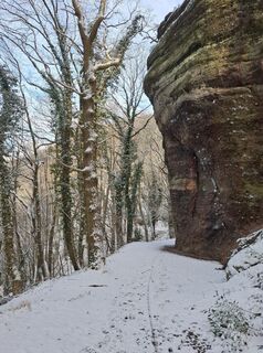 Photo de Dany Jamaer le long du parcours