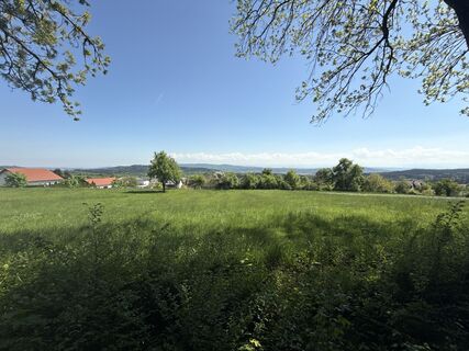 Foto från F. Shirazi-Joska under resans gång