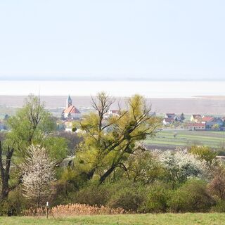Jois Ausblick