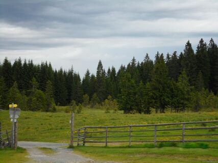 Weg zur Freiländerhütte