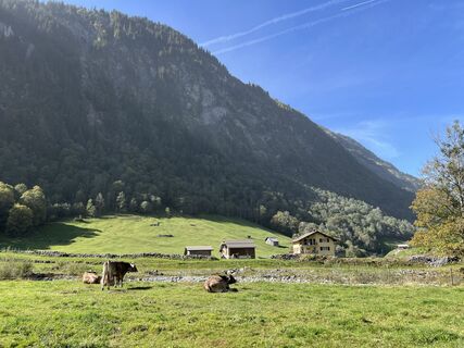 Fotografija s spletne strani F A 4 na poti