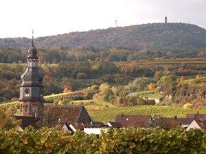 Kallstadt - Edelweinort mit Tradition