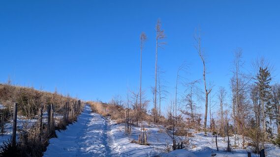 Foto von Ziegler Em1304 entlang der Tour