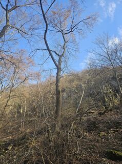 Foto de Attila Bicskó a lo largo del recorrido