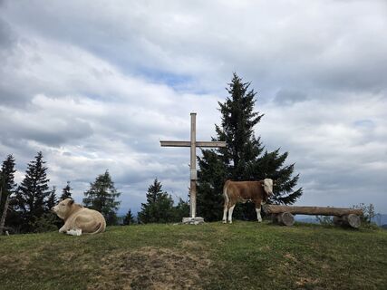 Photo de Zahrni78 le long du parcours