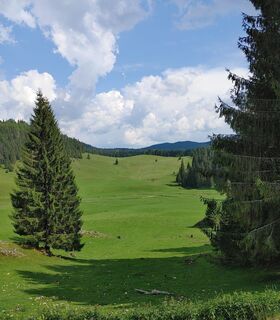 Fotografia z Edit Szabó 3 na trase