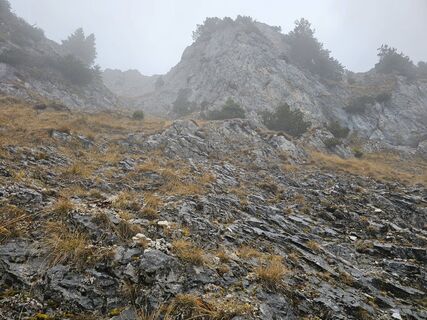 Photo from Matheo Kraule along the tour