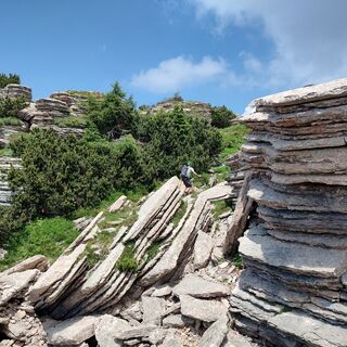 Bücher von San Daniele