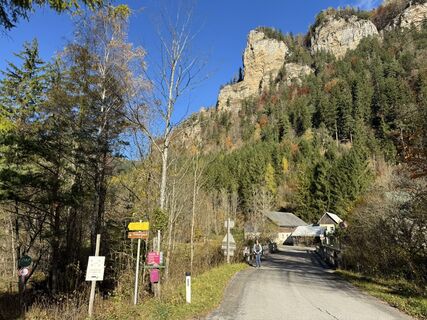 Fotografia z Firma Pool1 Hackl Roman na trase