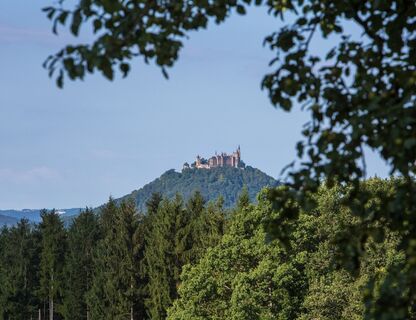 Blick auf die Burg Hohenzollern