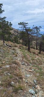 Fotografija s spletne strani uto na poti