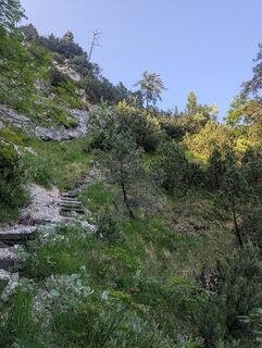 Foto von SFK entlang der Tour