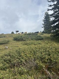 Foto från Elisabeth Esser under resans gång