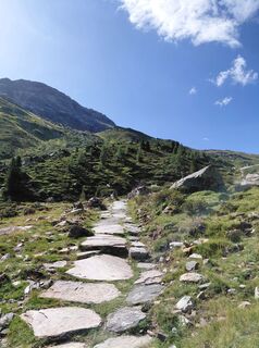 Photo de Sabine Steuxner le long du parcours