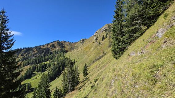 Foto von EP87 entlang der Tour