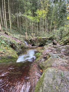 Foto von Nicole Reif entlang der Tour