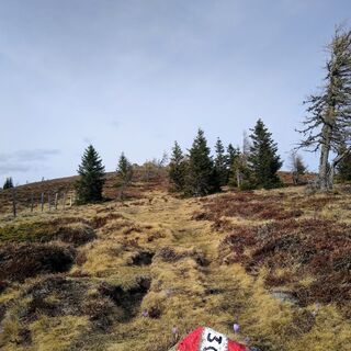 Wanderweg 308 richtung kleiner Sauofen