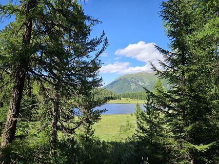 Foto fra Bruno Sprecher undervejs på turen