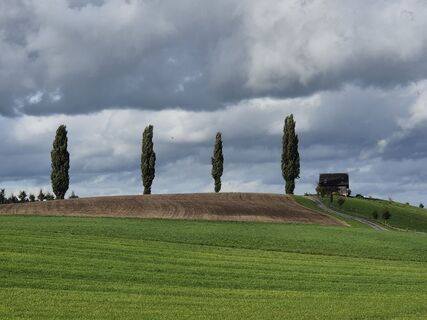 Fotografie z Thomi W na trase