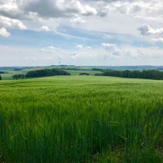 Löwenpfad Messelberg-Tour