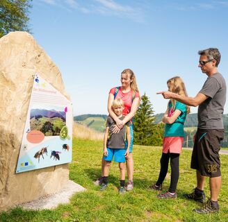 Informationstafel am Wildbienenpfad