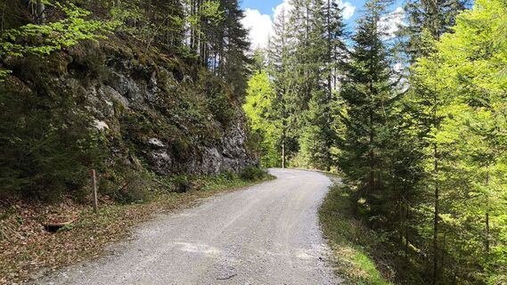 Fotó a WilliSt honlapról a túra során