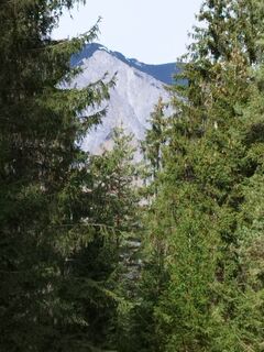 Fotografie z Herbert Rieder na trase