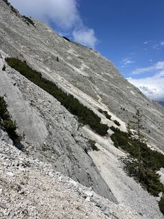 Fotografija s spletne strani Heikoala na poti