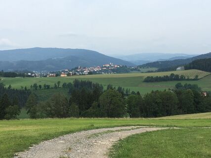Blick auf Althofen auf dem Rückweg