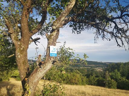 Bliessteig durch Streuobstwiesen