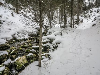 entlang des Säusenbaches