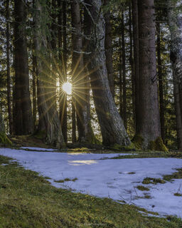 Fotografie z Željko Brčina na trase