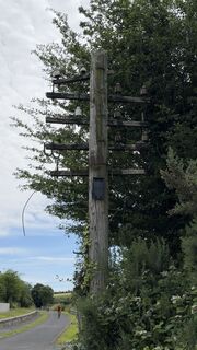 Foto von Peter Burki entlang der Tour