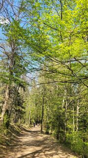 Fotografia z Juliane Jarke na trase