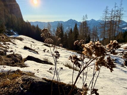Fotografija s spletne strani Natur_erleben_dg na poti